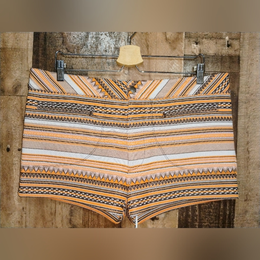 NWT MR. TURK Jones Beach Vintage Stripe Knit Swim Bathing Trunks Shorts Sz 36